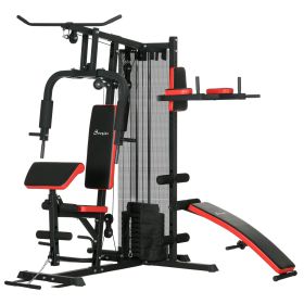 Soozier Multi-functional Workout Station with Sit up Bench, Push up Stand, Dip Station, 143 lbs Weights