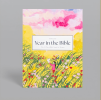 A Beautiful Year in the Bible: A 52 Week Bible Study for Women