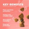 Dog Flea and Tick Treatment Chews 180 DUCK Flavored for Dogs Soft Supplement Treats
