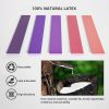 Resistance Loop Bands, Resistance Bands For Stretching, Exercise, Strength Training, Physical Therapy