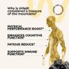 Shilajit Resin Pure Himalayan 50g=83 servings Organic Maximum Potency Energy Immunity and Detox Natural Himalayan Mumiyo
