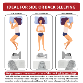 Therapeutica Travel Pillow Firm Support (Option: Average)